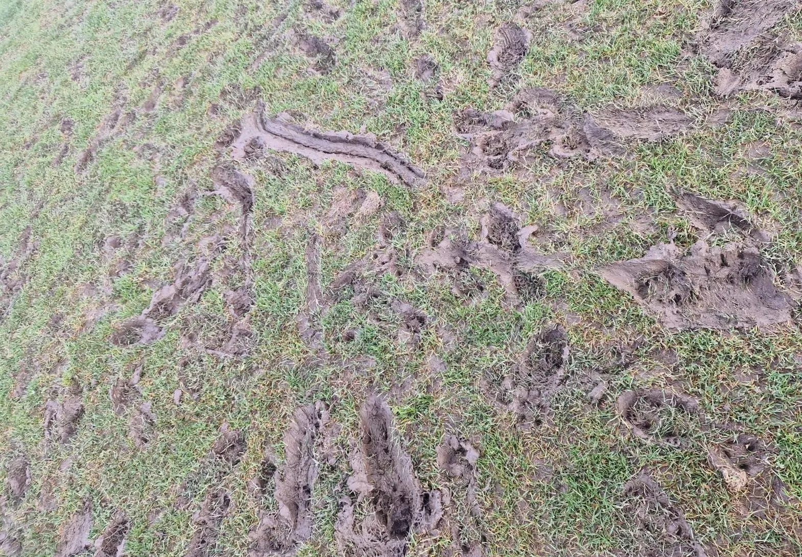 REA Earn a Point in the “Mud” of Panarkadikos Stadium